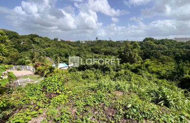 Vente Terrain 702m² Les Abymes