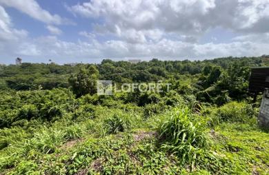 Vente Terrain 702m² Les Abymes