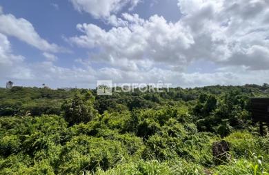 Vente Terrain 702m² Les Abymes