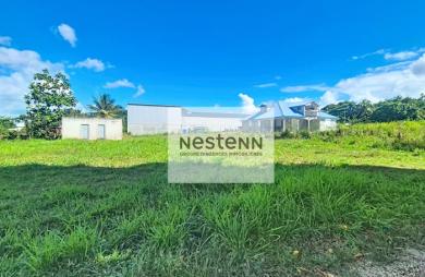 Vente Terrain 800m² Sainte Rose