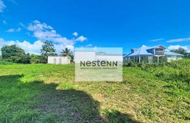 Vente Terrain 800m² Sainte Rose