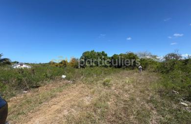 Vente Terrain 1088m² Anse-Bertrand