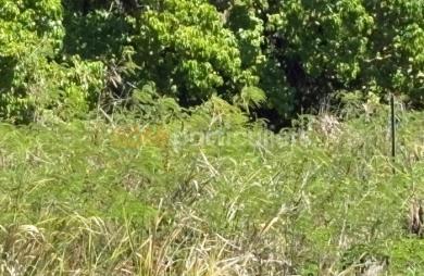 Vente Terrain 1088m² Anse-Bertrand