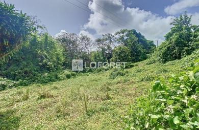 Vente Terrain 1650m² Capesterre Belle Eau