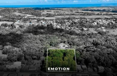 TERRAIN PLAT   Route Sainte-Rose   5 753 m2 Exclusivité
