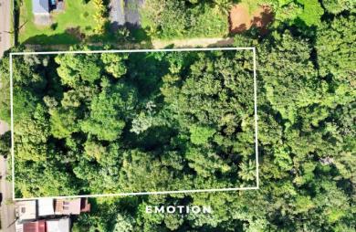 TERRAIN PLAT   Route Sainte-Rose   5 753 m2 Exclusivité