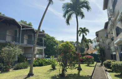 Studio rentable avec piscine et parking   Bas-du-Fort, Le Gosier   Rentabilité brute 7,32 %