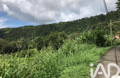 Vente Terrain 6300m&sup2; Gourbeyre