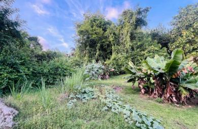 Vente Terrain 1200m&sup2; Les Abymes