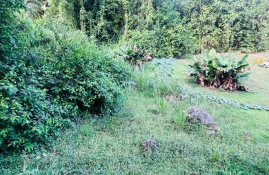 Vente Terrain 1200m&sup2; Les Abymes