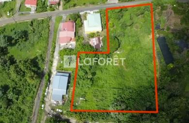 Vente Terrain 5300m² Gourbeyre