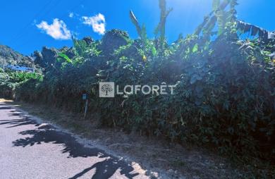 Vente Terrain 5300m² Gourbeyre