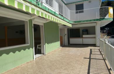 À LOUER À BASSE-TERRE- LOCAL COMMERCIAL DE 293 M2 AVEC TERRASSES   EMPLACEMENT STRATÉGIQUE
