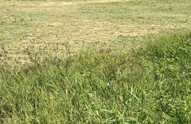 Le Moule -Terrain constructible 522m2