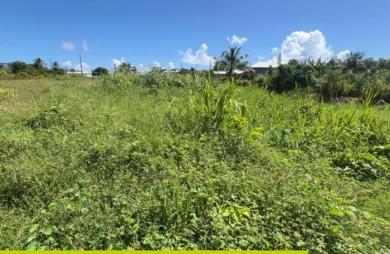 Le Moule -Terrain constructible 625m2