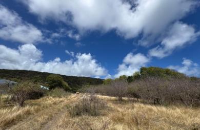 Vente Terrain 38180m&sup2; Capesterre de Marie Galante