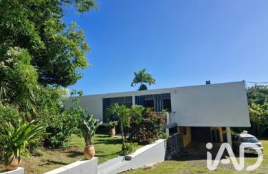 Location Maison 140m&sup2; 5 pièces Les Abymes