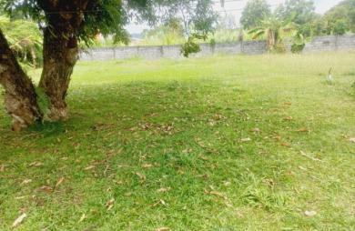 Vente Maison 244m&sup2; 5 pièces Goyave