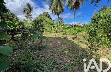 Vente Terrain 854m&sup2; Capesterre Belle Eau