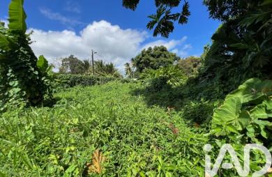 Vente Terrain 1015m&sup2; Capesterre Belle Eau