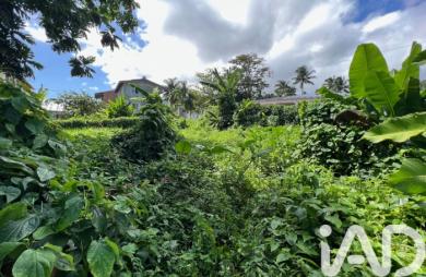 Vente Terrain 1015m&sup2; Capesterre Belle Eau