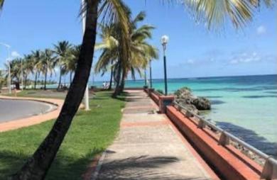 Vente Fonds de commerce 37m&sup2; Sainte Anne