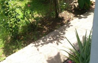 Location Maison 38m&sup2; 2 pièces Sainte Anne