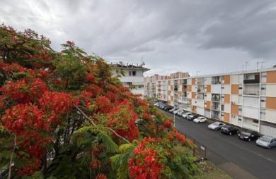 Appartement entièrement rénové sur Pointe-à-Pitre ! Longfort Immobilier