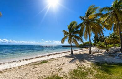 Studio vue mer en première ligne à Sainte-Anne   Dernier étage   Résidence sécurisée avec accès plage