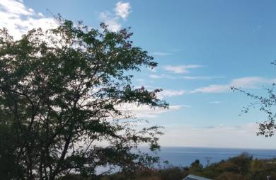 Vente Terrain 1620m&sup2; Bouillante