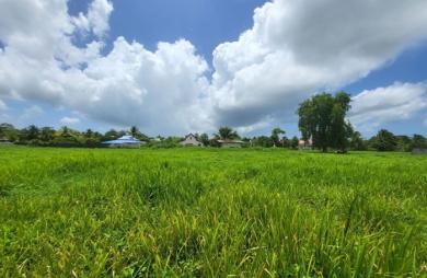 Vente Terrain 710m&sup2; Les Abymes