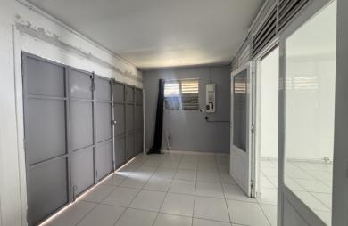 Maison au Raizet en vente aux Abymes avec Longfort Immobilier