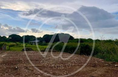 Vente Terrain 927m&sup2; Port-Louis