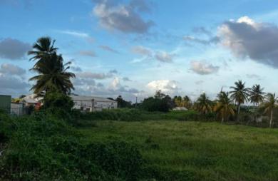 Vente Terrain 1732m&sup2; Morne à l