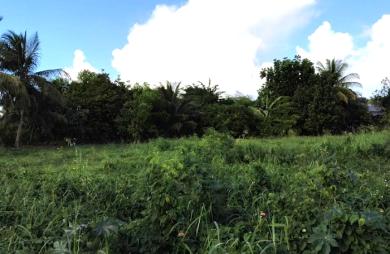A Dubedou Saint François, beau terrain plat de 629m2 à vendre dans un secteur résidentiel.