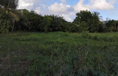 A Dubedou Saint François, beau terrain plat de 629m2 à vendre dans un secteur résidentiel.