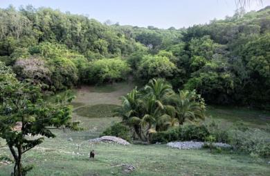 Vente Terrain 1000m&sup2; Sainte Anne