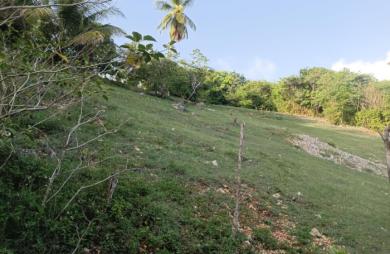 Vente Terrain 1000m&sup2; Sainte Anne