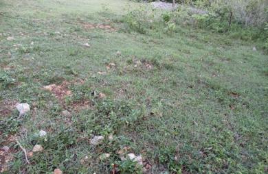 Vente Terrain 1000m&sup2; Sainte Anne
