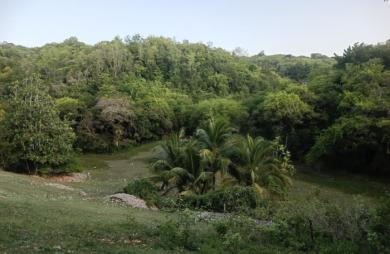 Vente Terrain 1000m&sup2; Sainte Anne