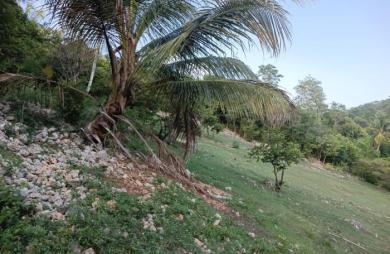Vente Terrain 1000m&sup2; Sainte Anne
