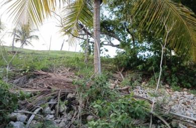Vente Terrain 1000m&sup2; Sainte Anne