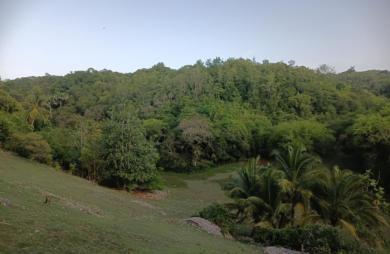 Vente Terrain 1000m&sup2; Sainte Anne