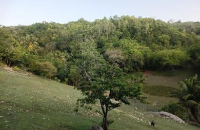 Vente Terrain 1000m&sup2; Sainte Anne