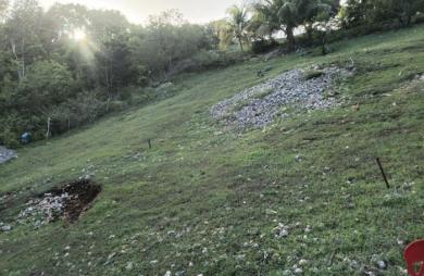 Vente Terrain 1000m&sup2; Sainte Anne