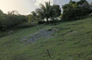 Vente Terrain 1000m&sup2; Sainte Anne