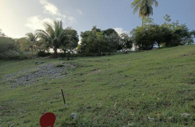 Vente Terrain 1000m&sup2; Sainte Anne