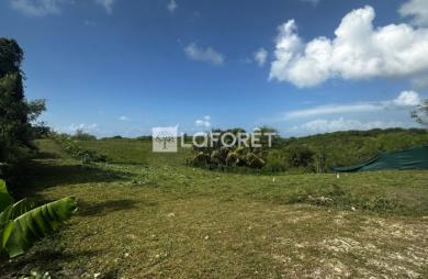 Vente Terrain 400m² Sainte Anne
