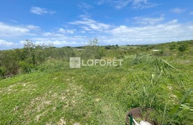 Vente Terrain 400m² Sainte Anne