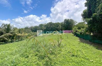 Vente Terrain 400m² Sainte Anne